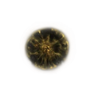Shadow Realm Rune [2] icon