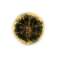 Shadow Realm Rune [6] icon