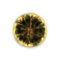 Shadow Realm Rune [7] icon