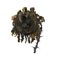 Shadow Sunflower icon