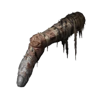 Tarnished's Wizened Finger icon