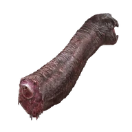 Turtle Neck Meat icon