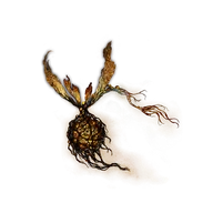 Winter-Lantern Fly icon