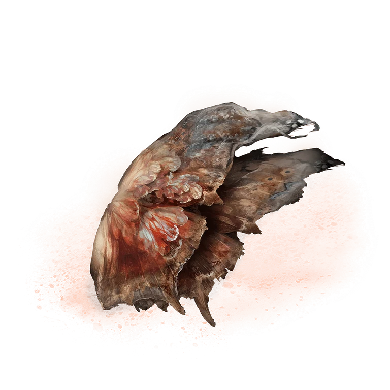 Aeonian Butterfly icon