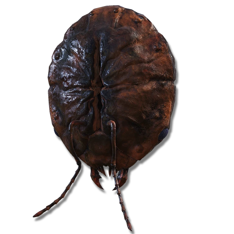 Ant's Skull Plate icon