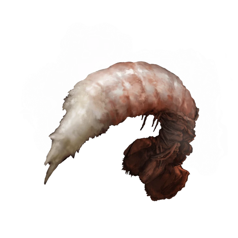 Boiled Prawn icon