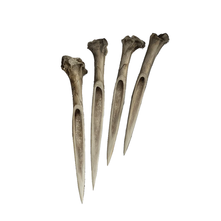 Bone Dart icon