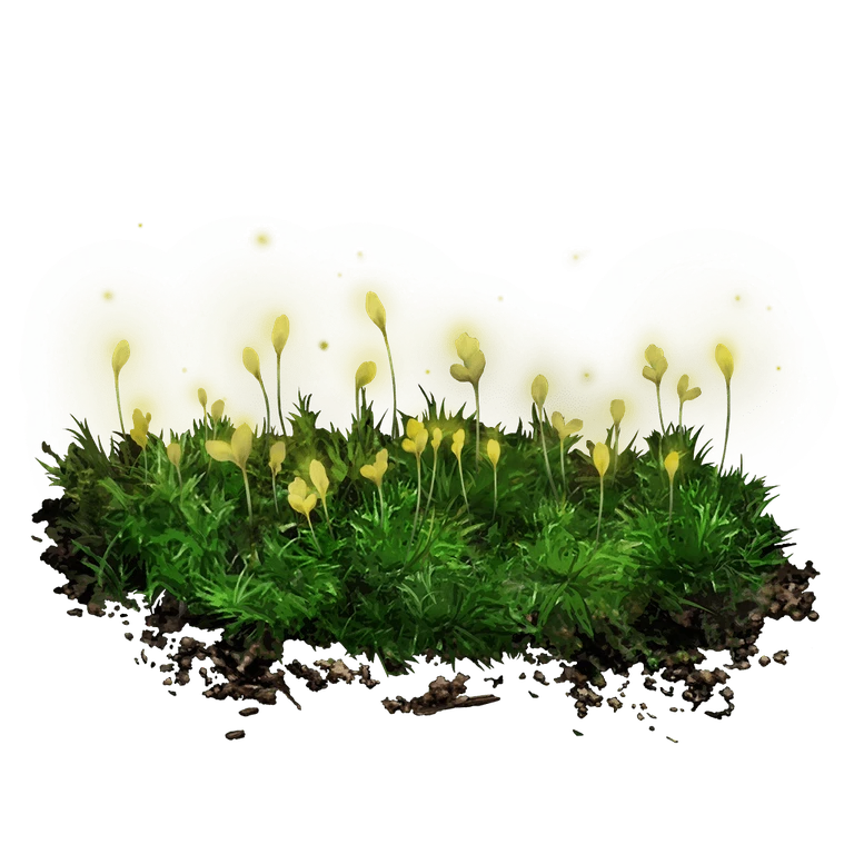 Budding Cave Moss icon