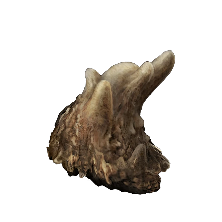 Budding Horn icon