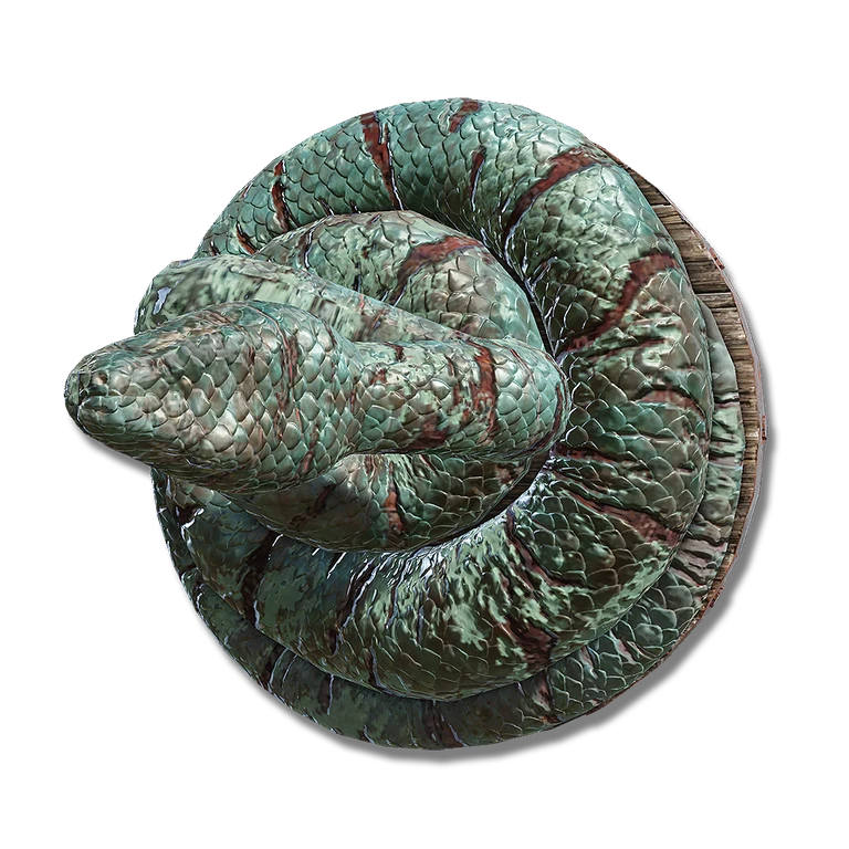 Coil Shield icon