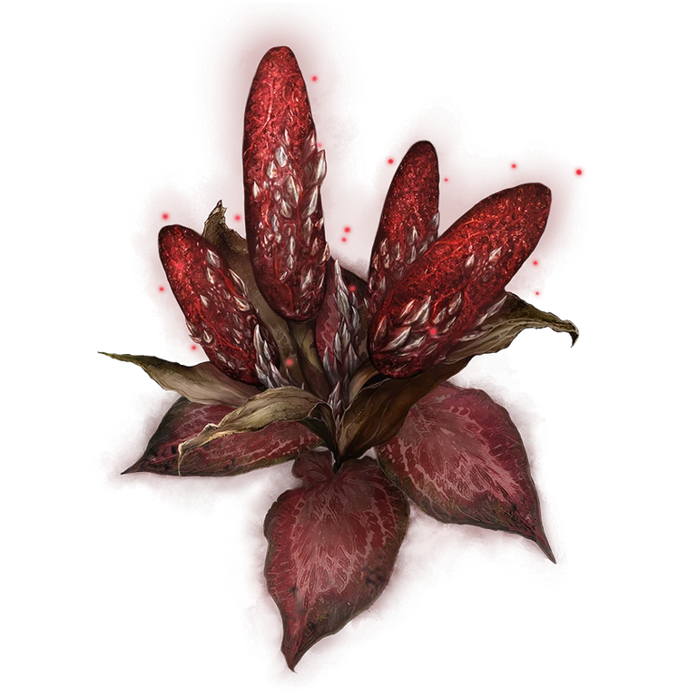 Dragon's Calorbloom icon