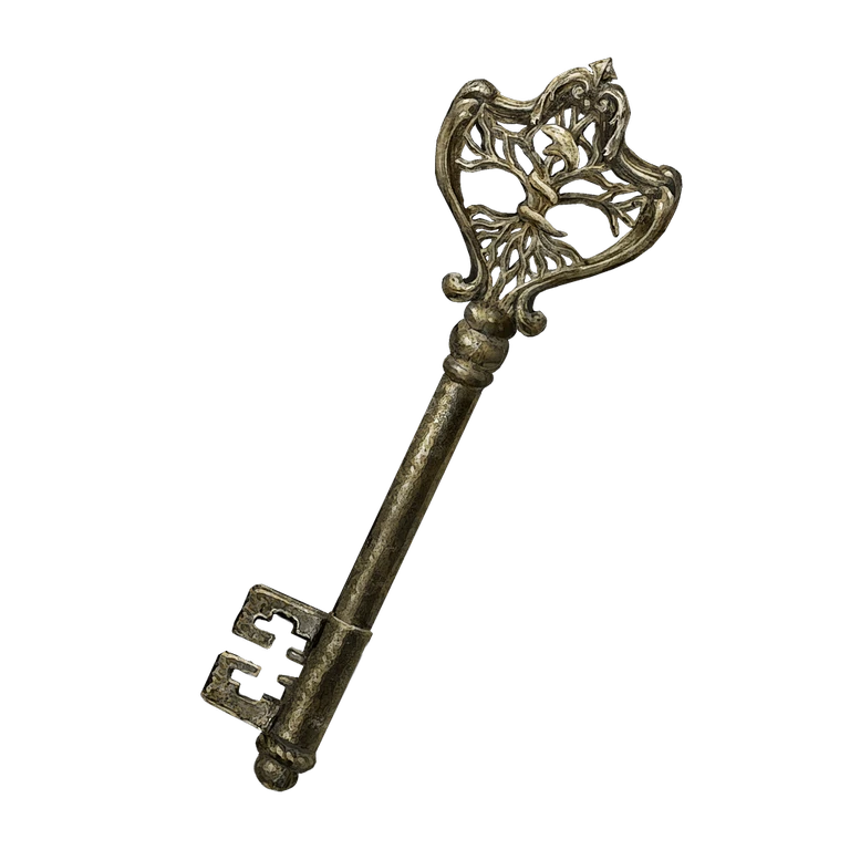 Drawing-Room Key icon