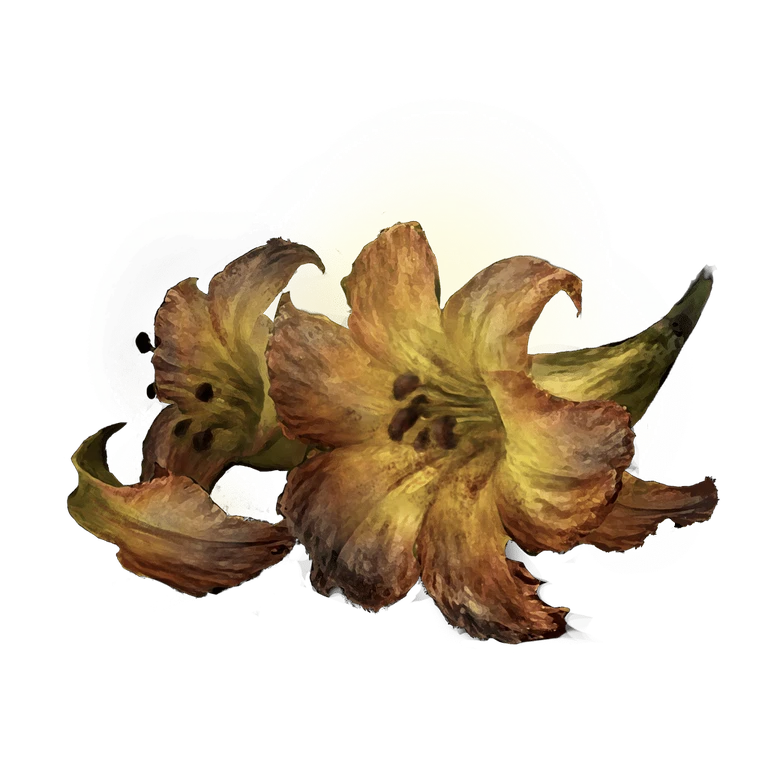 Erdleaf Flower icon