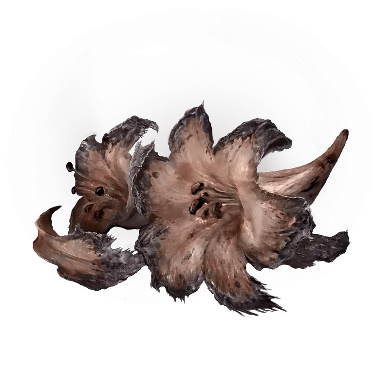 Faded Erdleaf Flower icon