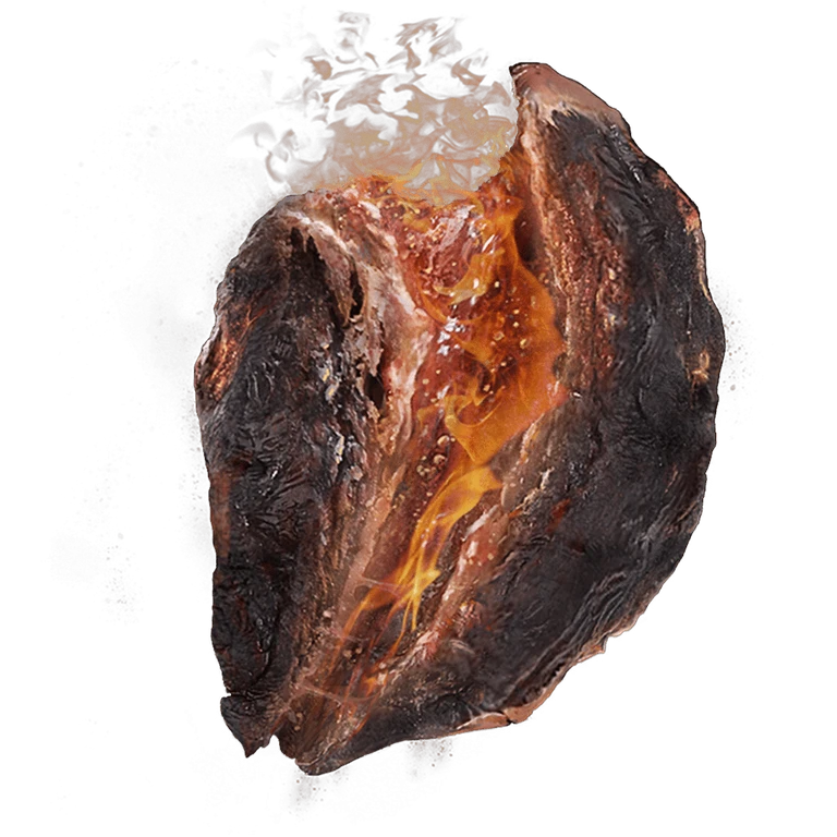 Fireproof Dried Liver icon