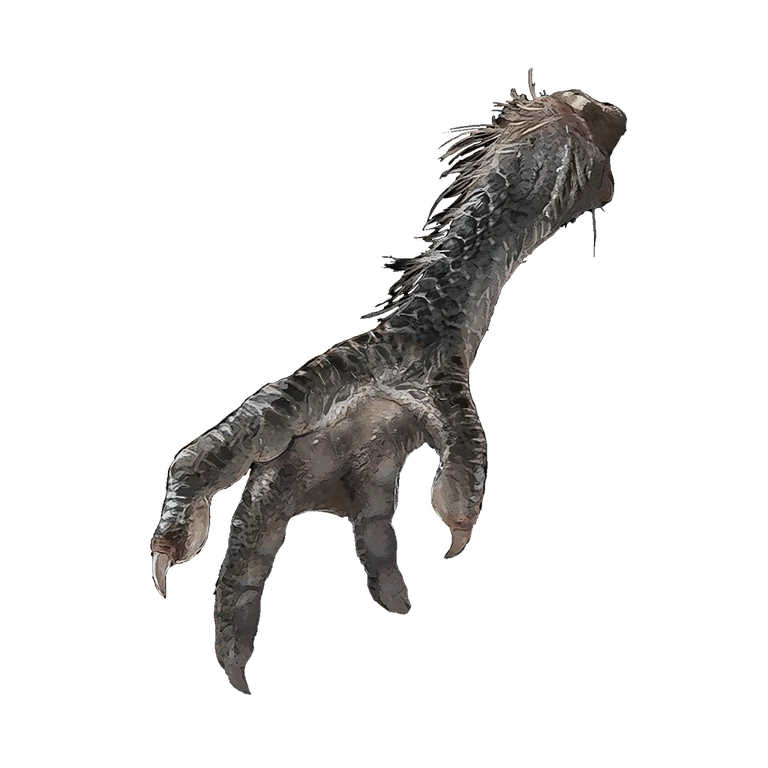 Four-Toed Fowl Foot icon