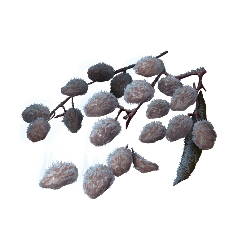 Frozen Raisin icon