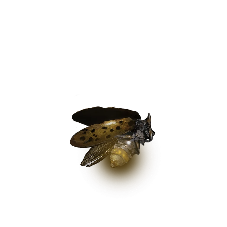 Gold Firefly icon