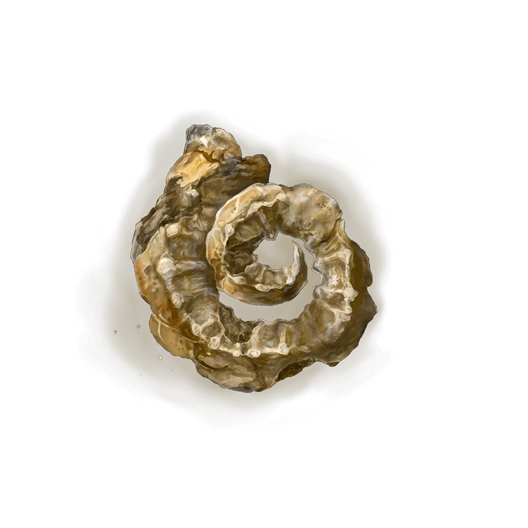 Golden Horn Tender icon