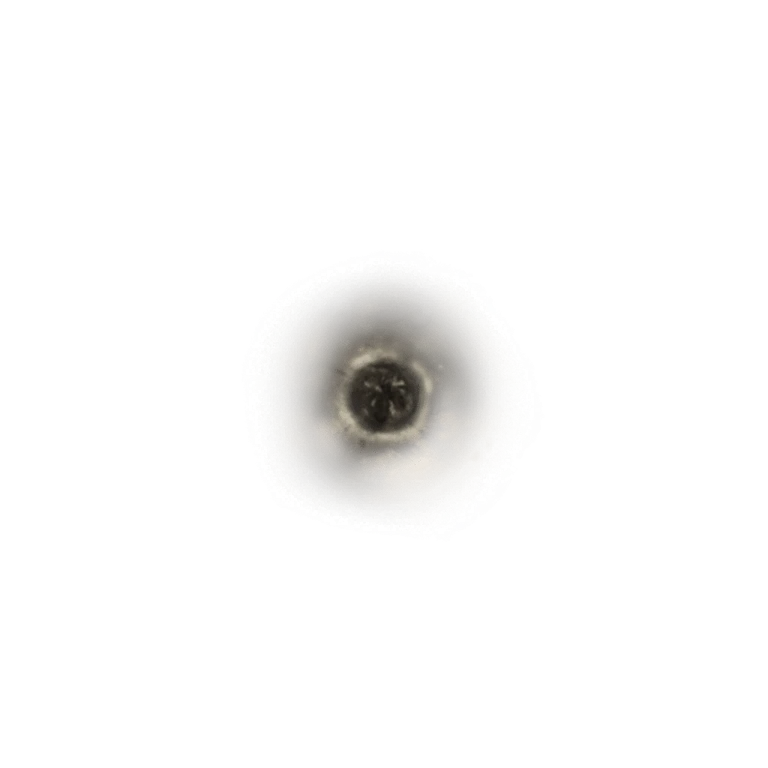Golden Rune [1] icon