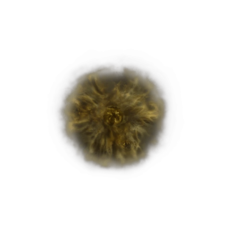 Golden Rune [10] icon