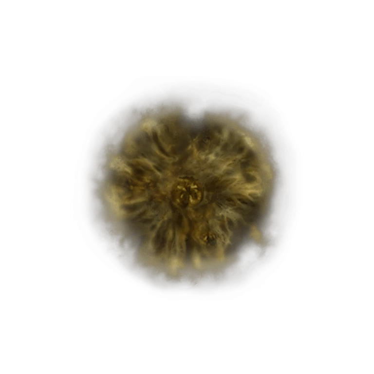 Golden Rune [11] icon
