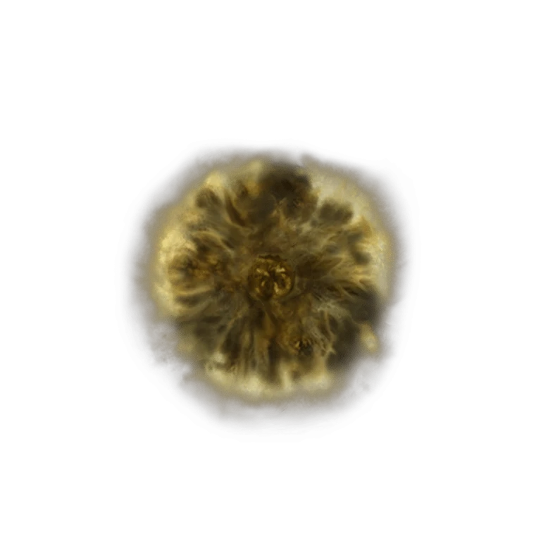 Golden Rune [13] icon