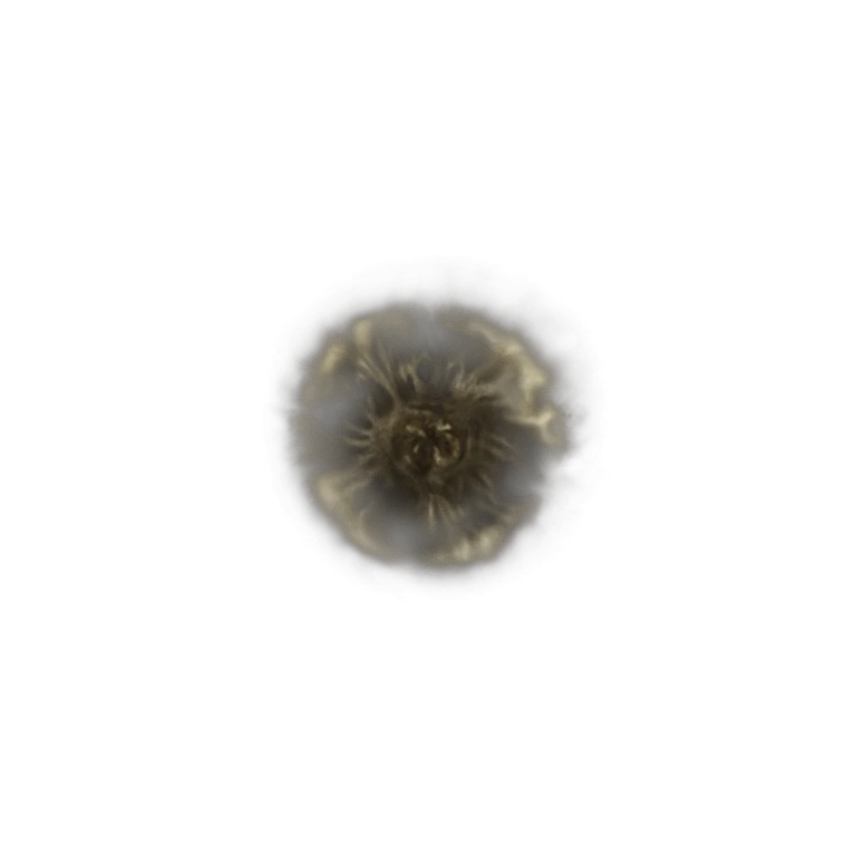 Golden Rune [4] icon
