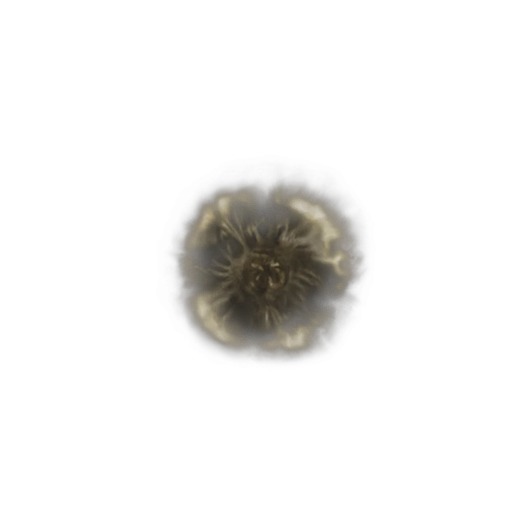 Golden Rune [5] icon