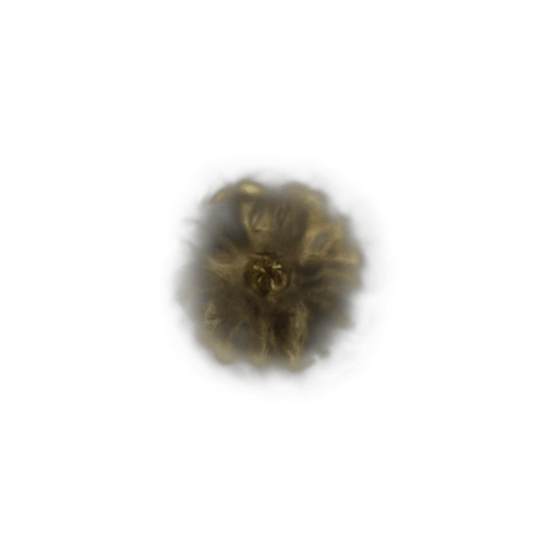 Golden Rune [6] icon