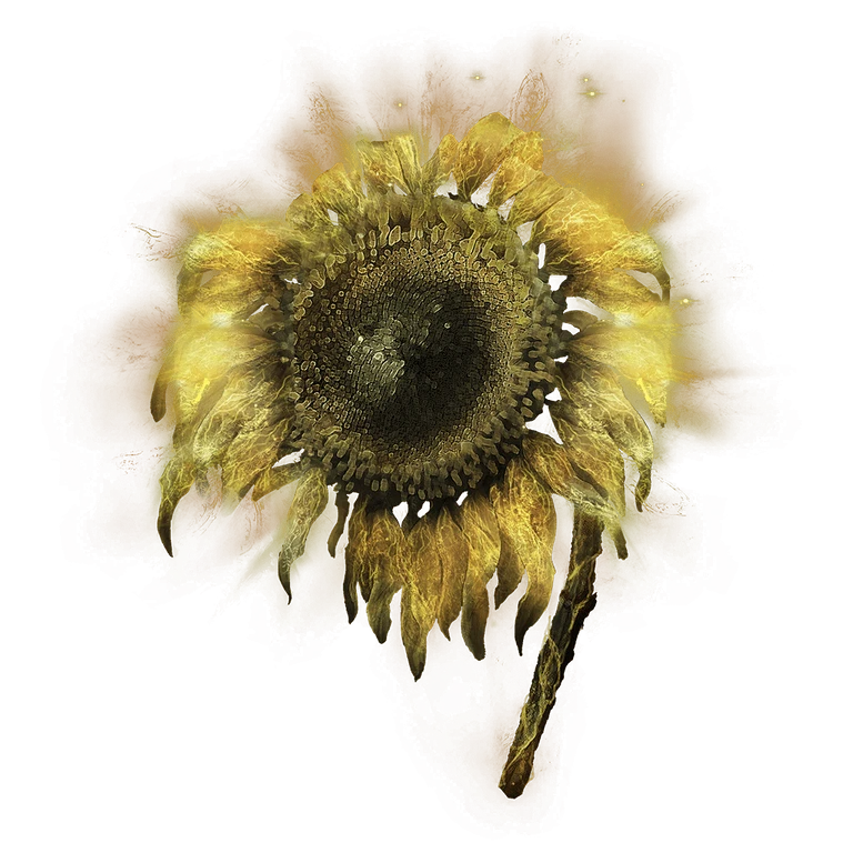 Golden Sunflower icon