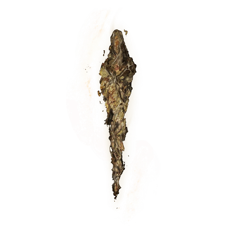 Grace Mimic icon