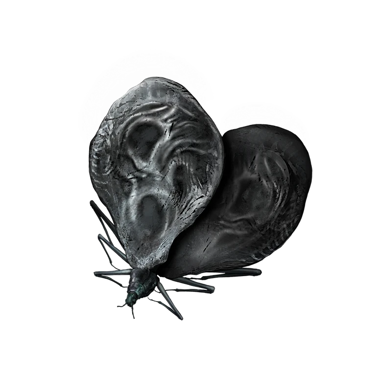 Grave Cricket icon