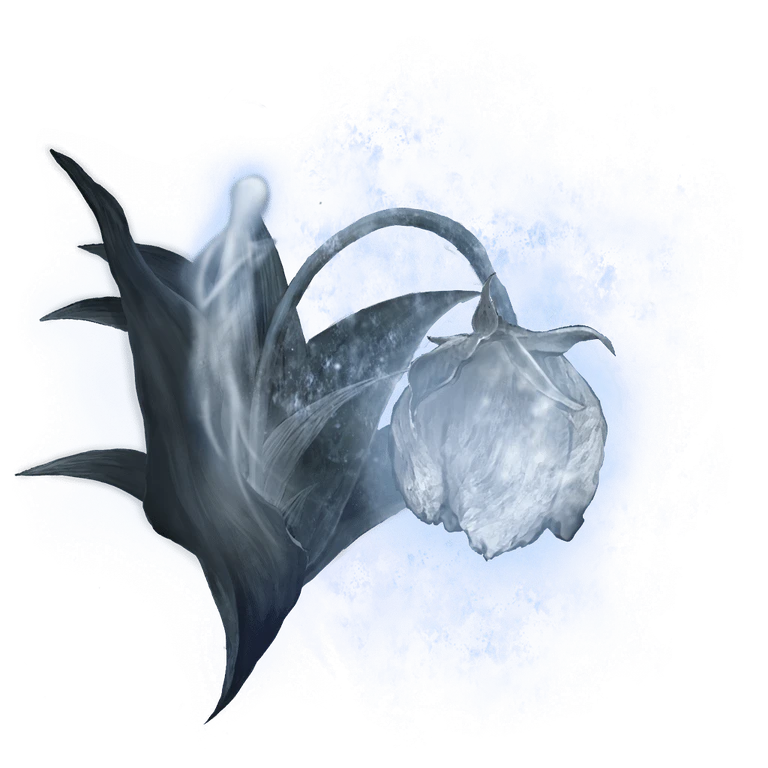 Great Ghost Glovewort icon
