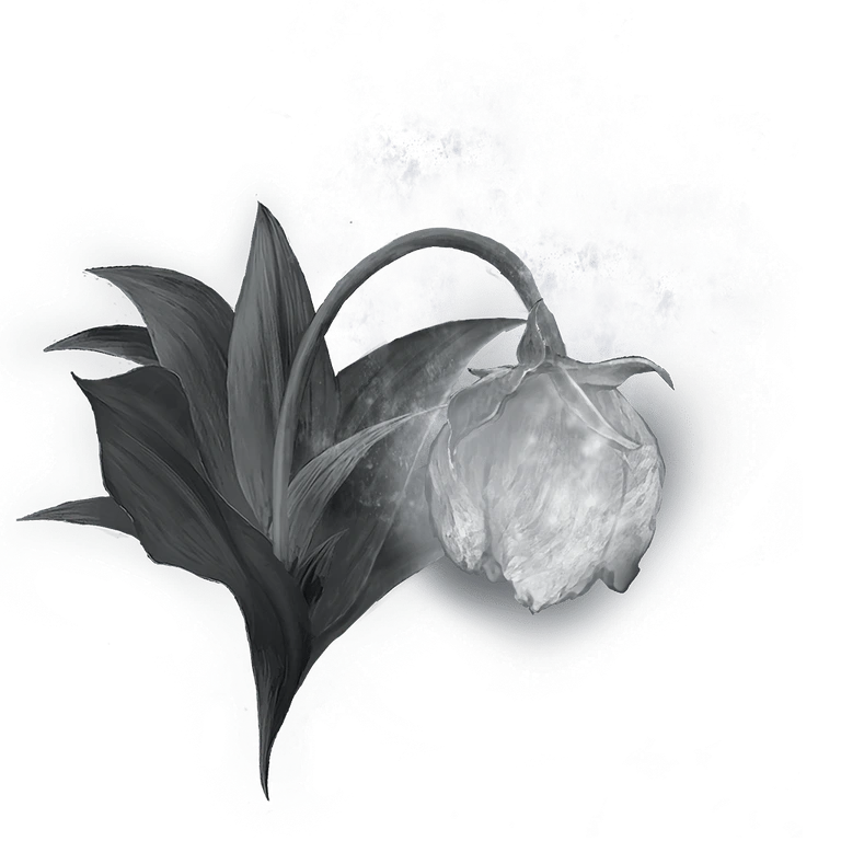 Great Grave Glovewort icon