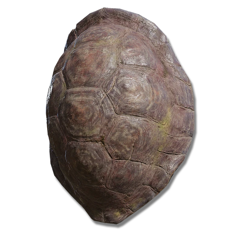 Great Turtle Shell icon