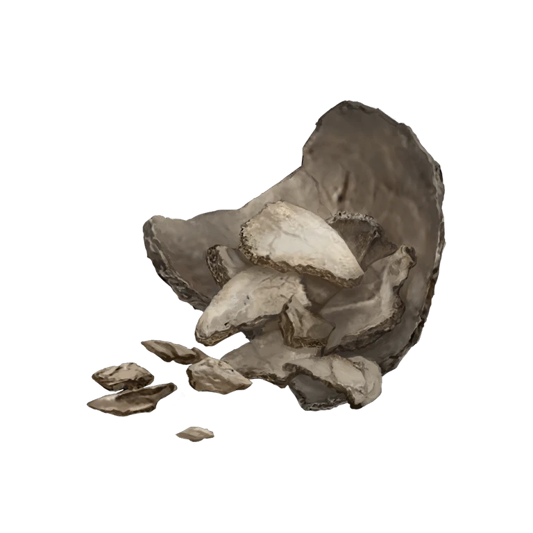Human Bone Shard icon