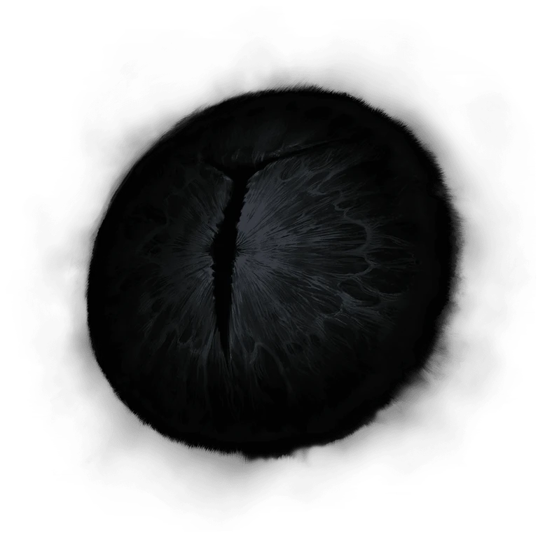 Iris of Occultation icon