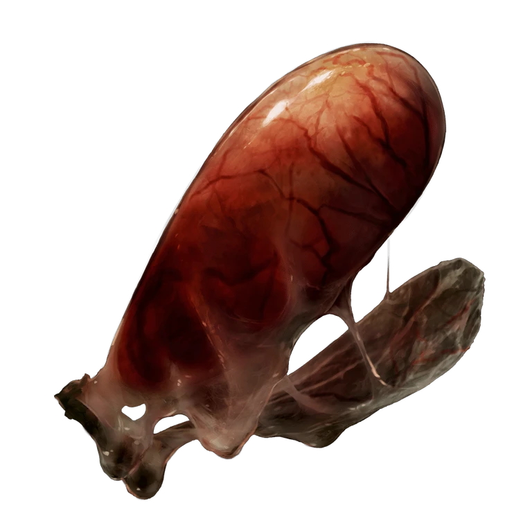 Land Octopus Ovary icon