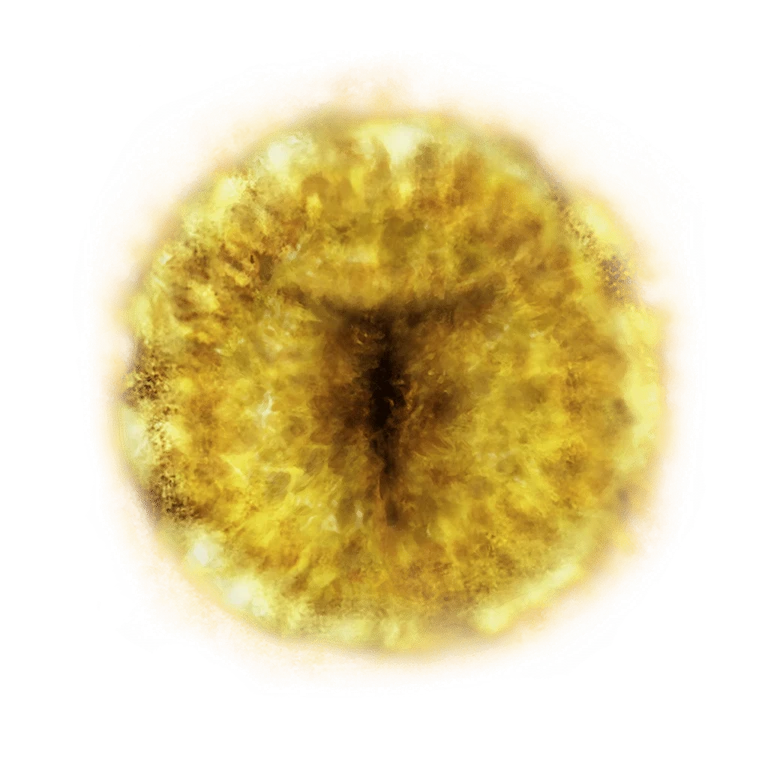 Marika's Rune icon