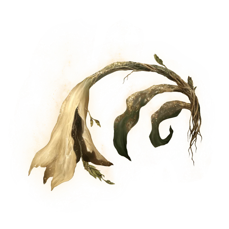 Miquella's Lily icon