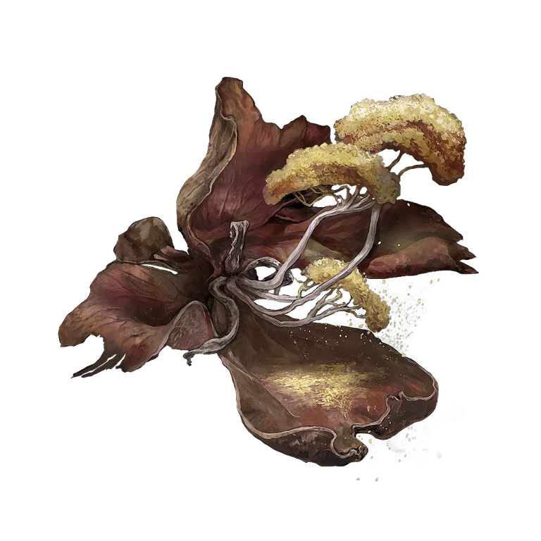 Miranda Powder icon