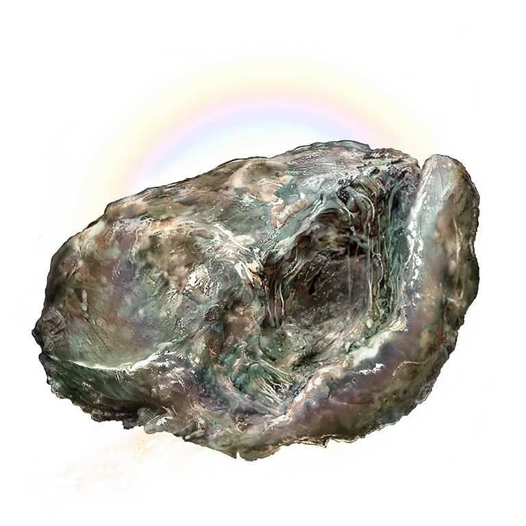 Opaline Pickled Liver icon
