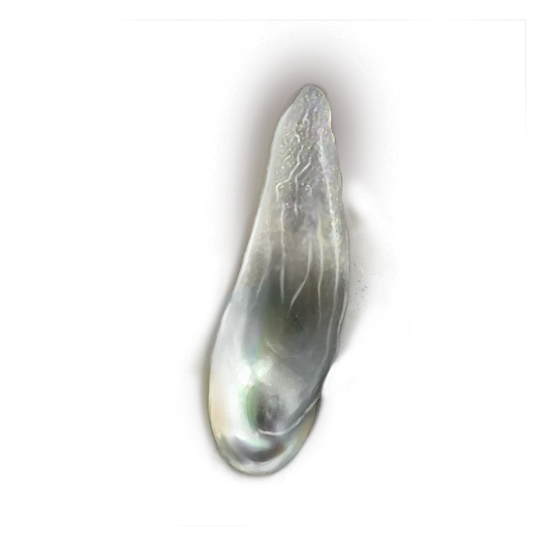 Pearlescent Scale icon