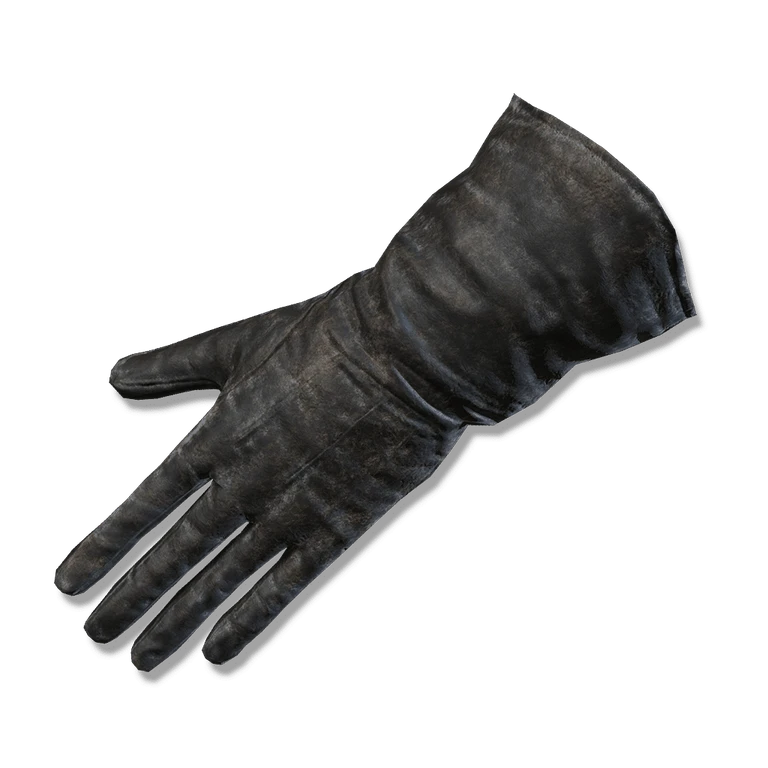 Preceptor's Gloves icon