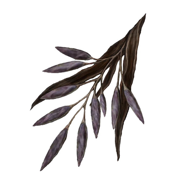 Rada Fruit icon