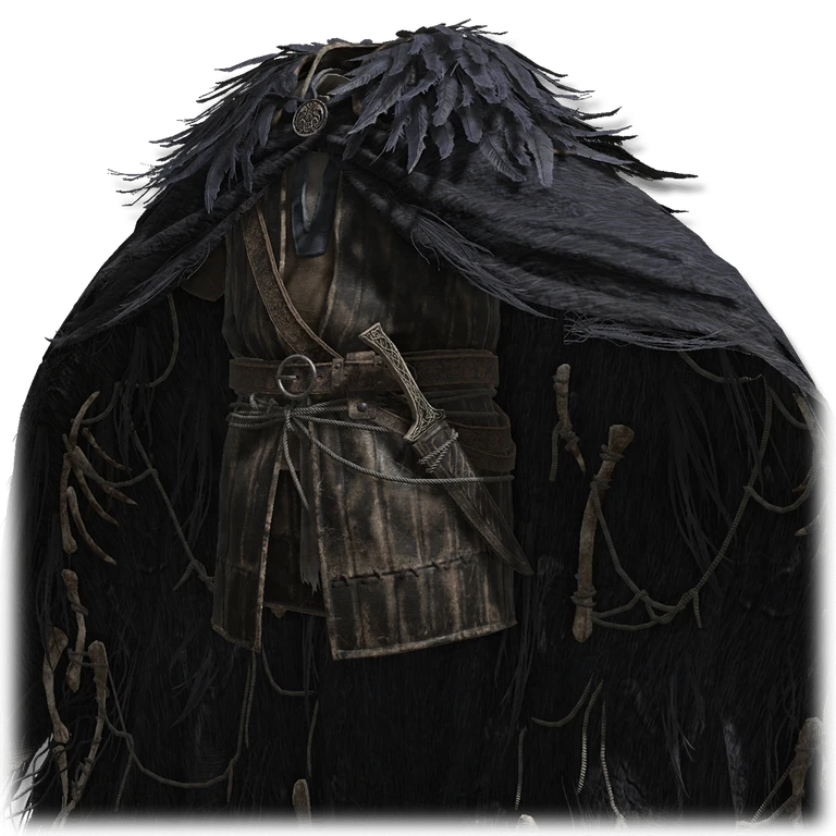 Raptor's Black Feathers icon
