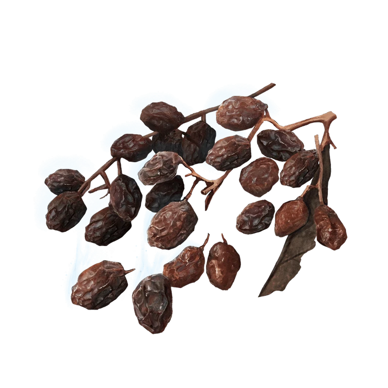 Rowa Raisin icon