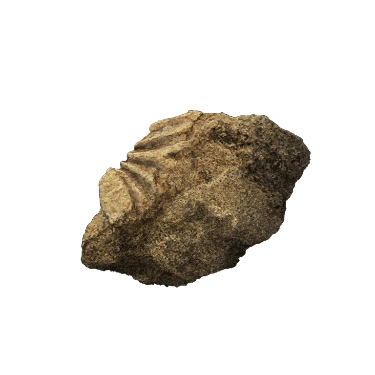 Ruin Fragment icon