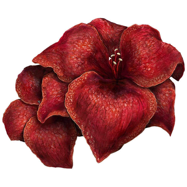 Sanguine Amaryllis icon
